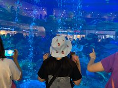 -成都浩海立方海洋公园