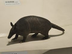 -重庆自然博物馆(新馆)