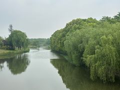 -江滩湿地公园