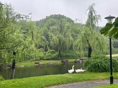 -日出青木·杭帮菜名店
