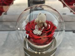 -ROSEONLY诺誓(广州K11店)