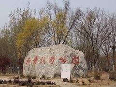 -西青郊野公园