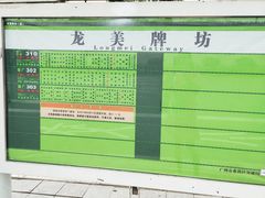 -蚝专家
