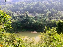 -火炉山森林公园