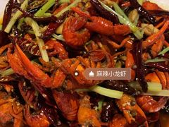 麻辣小龙虾-红钳侠小龙虾·烧烤(中赢康康谷店)