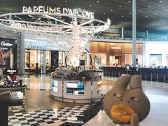 -戴高乐机场免税店(BuY PARIS DUTY FREE)