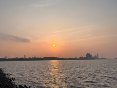 -上海吴淞炮台湾国家湿地公园