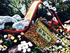 -杭州植物园