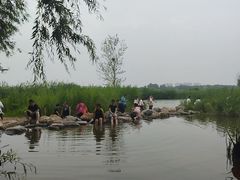 -绿堤公园