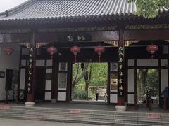 -南汇桃花村