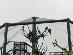 -武汉动物园