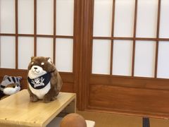 -豆柴町-柴犬主题狗咖(红鼎国际C座店)