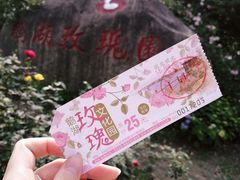 -鹅湖玫瑰文化园