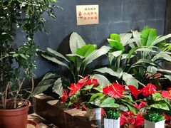 -大鸭梨烤鸭(顺义石园店)