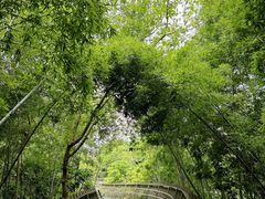 -福道