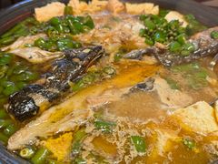 -探鱼·鲜青椒爽麻烤鱼(北京路天河城店)