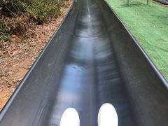 -富斯特索道