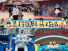 -灵玲国际马戏城