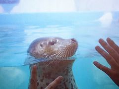 -多彩贵州城极地海洋世界