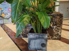 -深圳彭年万丽酒店