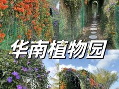 -中国科学院华南植物园