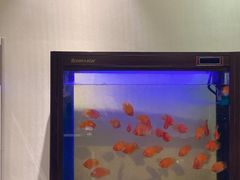 -北纬37°SPA养身会馆(湖西店)