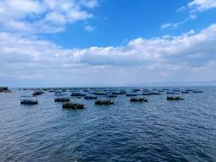 -抚仙湖禄充风景区