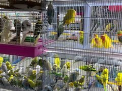 -三旗百汇商品城