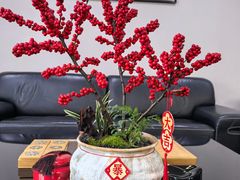 -灶东家民间菜(回兴店)
