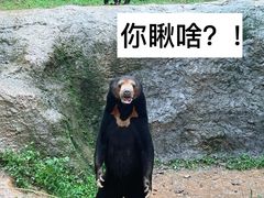 -杭州野生动物世界