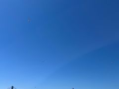 -星海广场