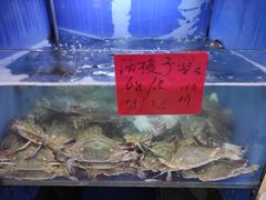 水产区-小老板海鲜酒家(董家渡店)