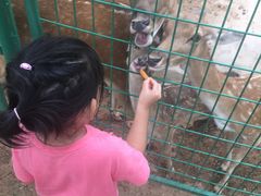 -石家庄市动物园