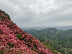 -木兰云雾山