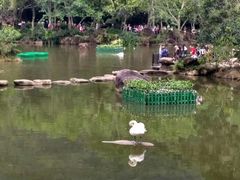 -呀诺达热带雨林