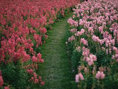 -海心沙亚运公园