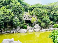 -上海吴淞炮台湾国家湿地公园