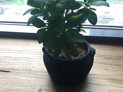 -瓦库茶馆17号(海汇港店)