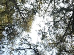 -颐和园