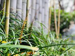 -西安国际创新人才交流中心•药浴温泉