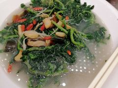 -新世纪大酒楼·30年南海菜