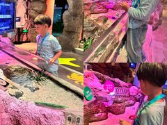 -沈阳海洋探索中心