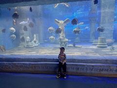 -梦幻海洋王国(吾悦广场张家港店)