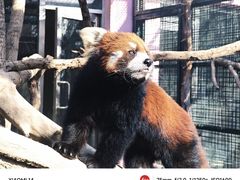 -天津市动物园
