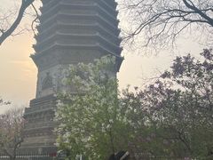 -玲珑塔公园