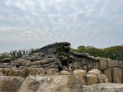-武汉动物园