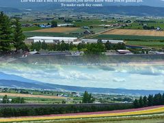 -富田农场