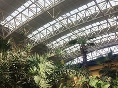 -郑州银基黄帝宫御温泉