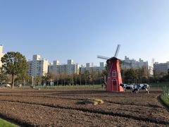 -大宁公园