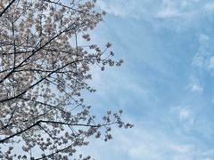 -龙美术馆(西岸馆)